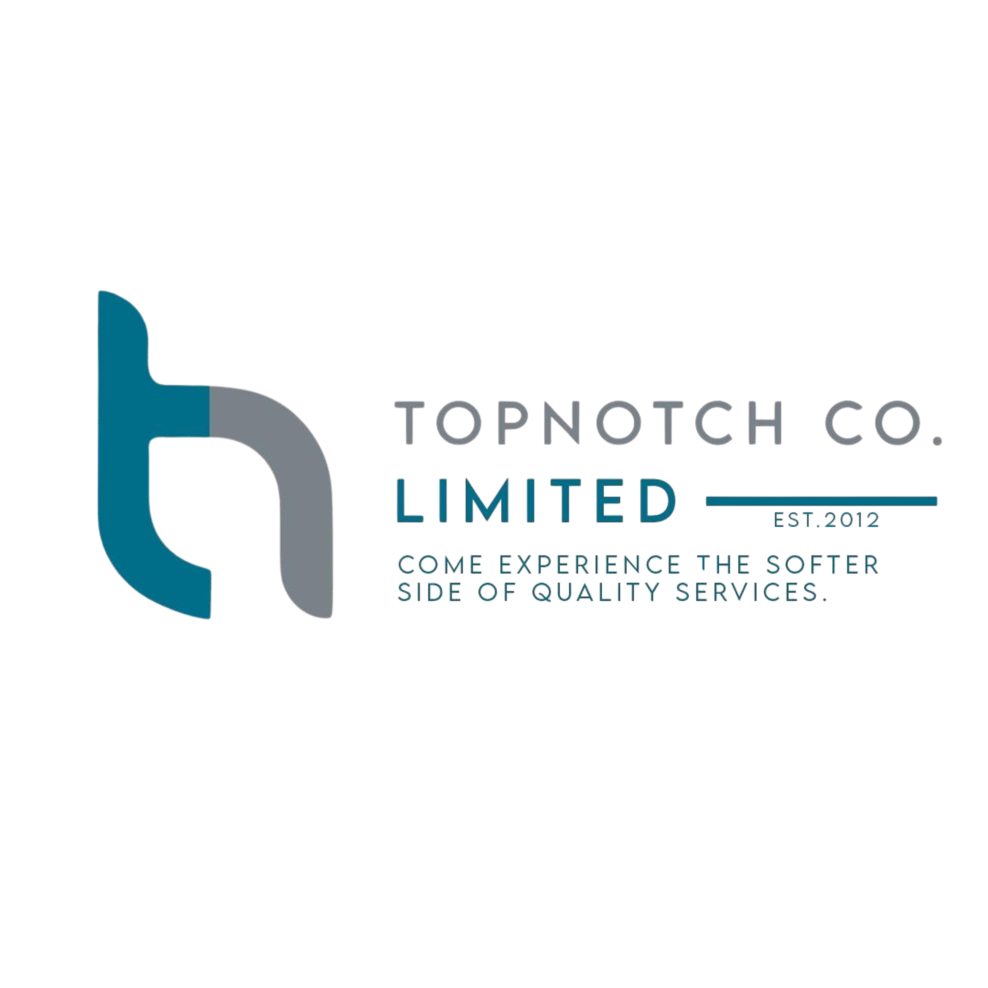 Top Notch Company Ltd logo